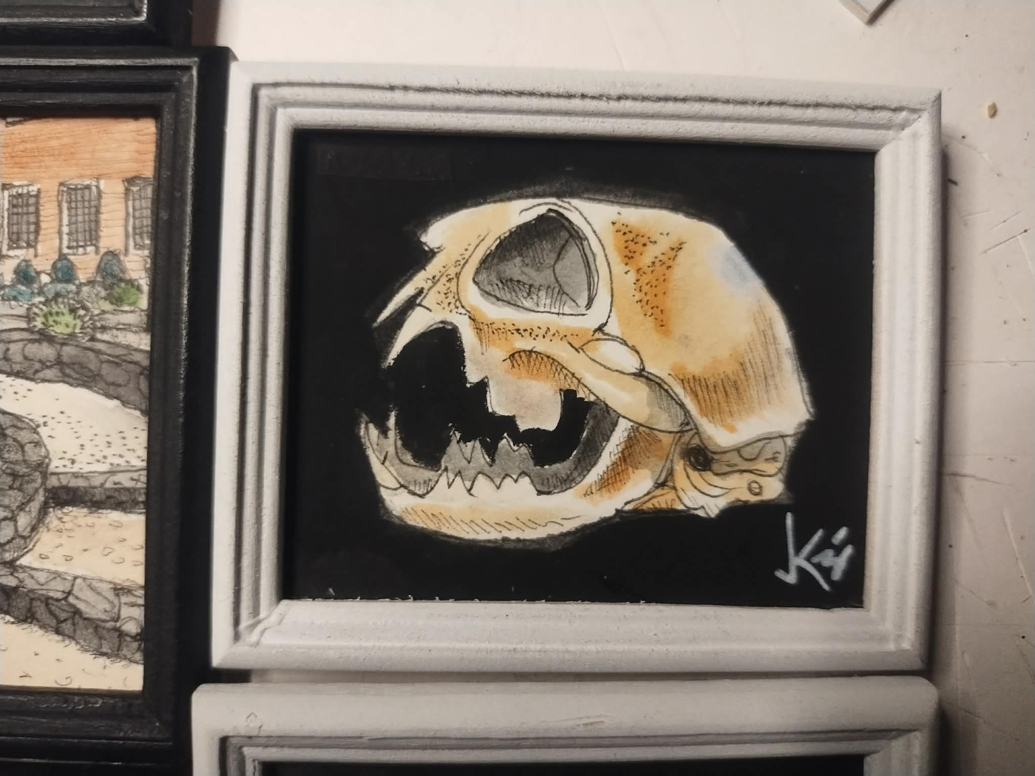 animal skull