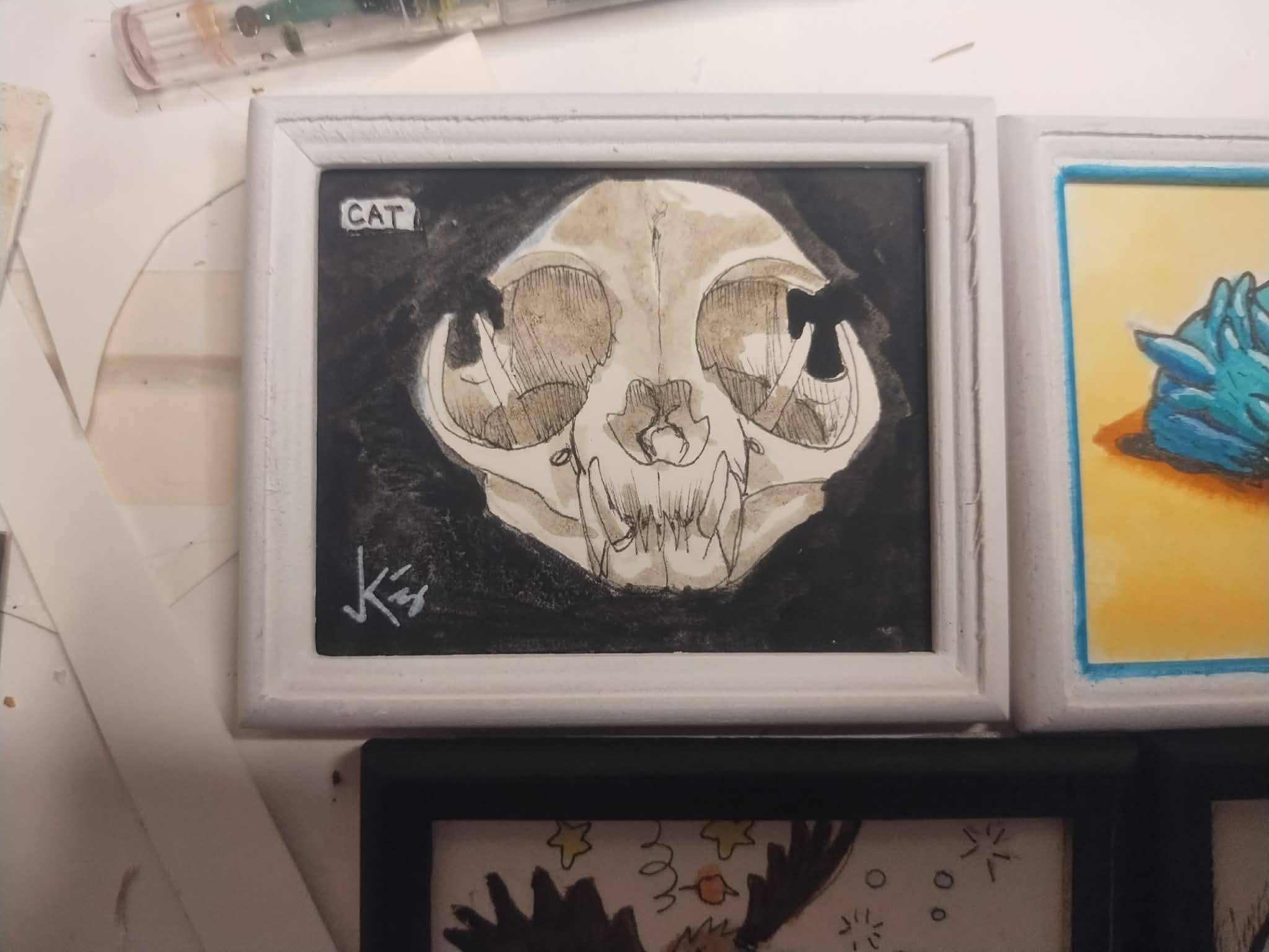 cat skull