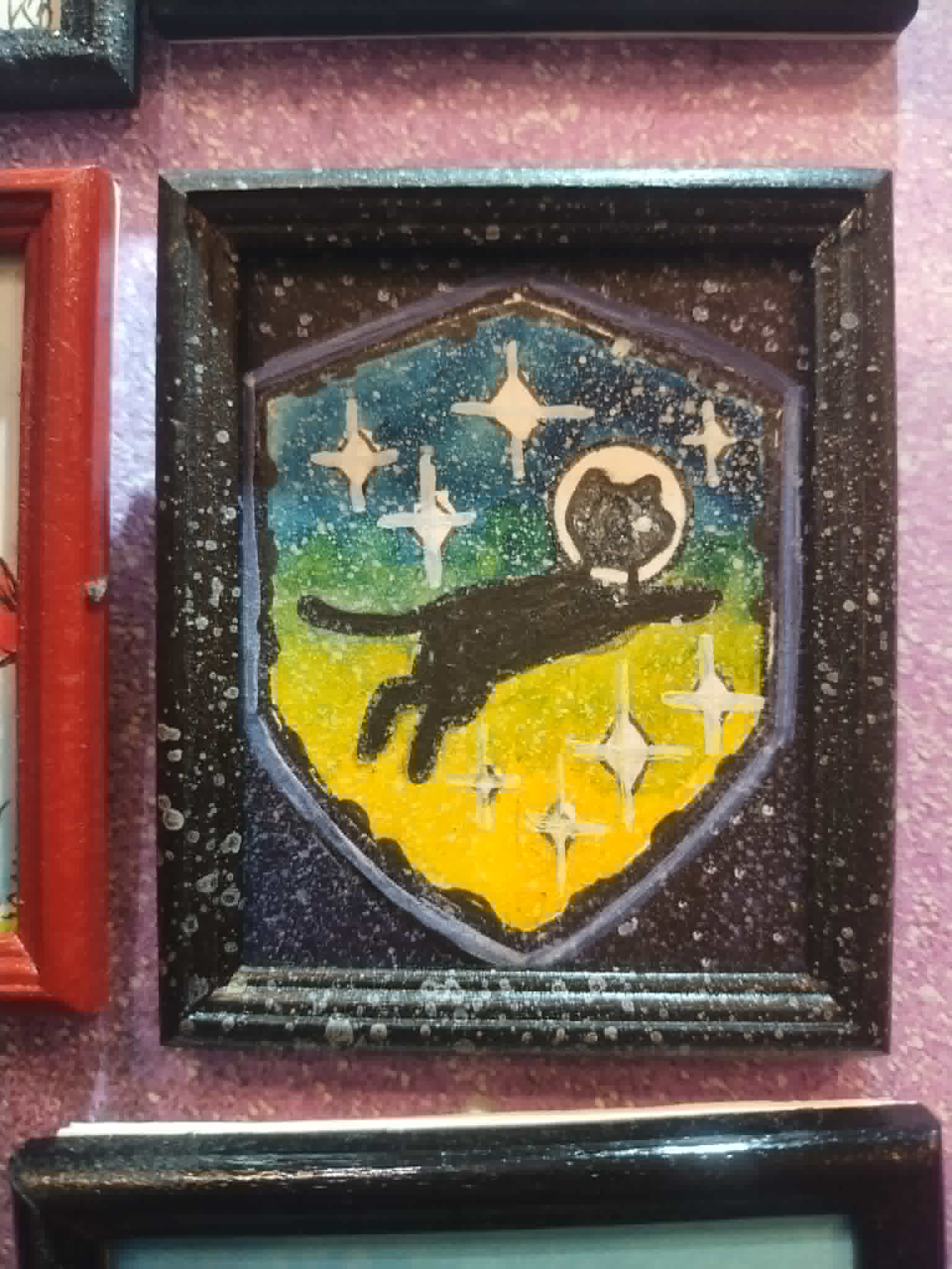 space kitty shield