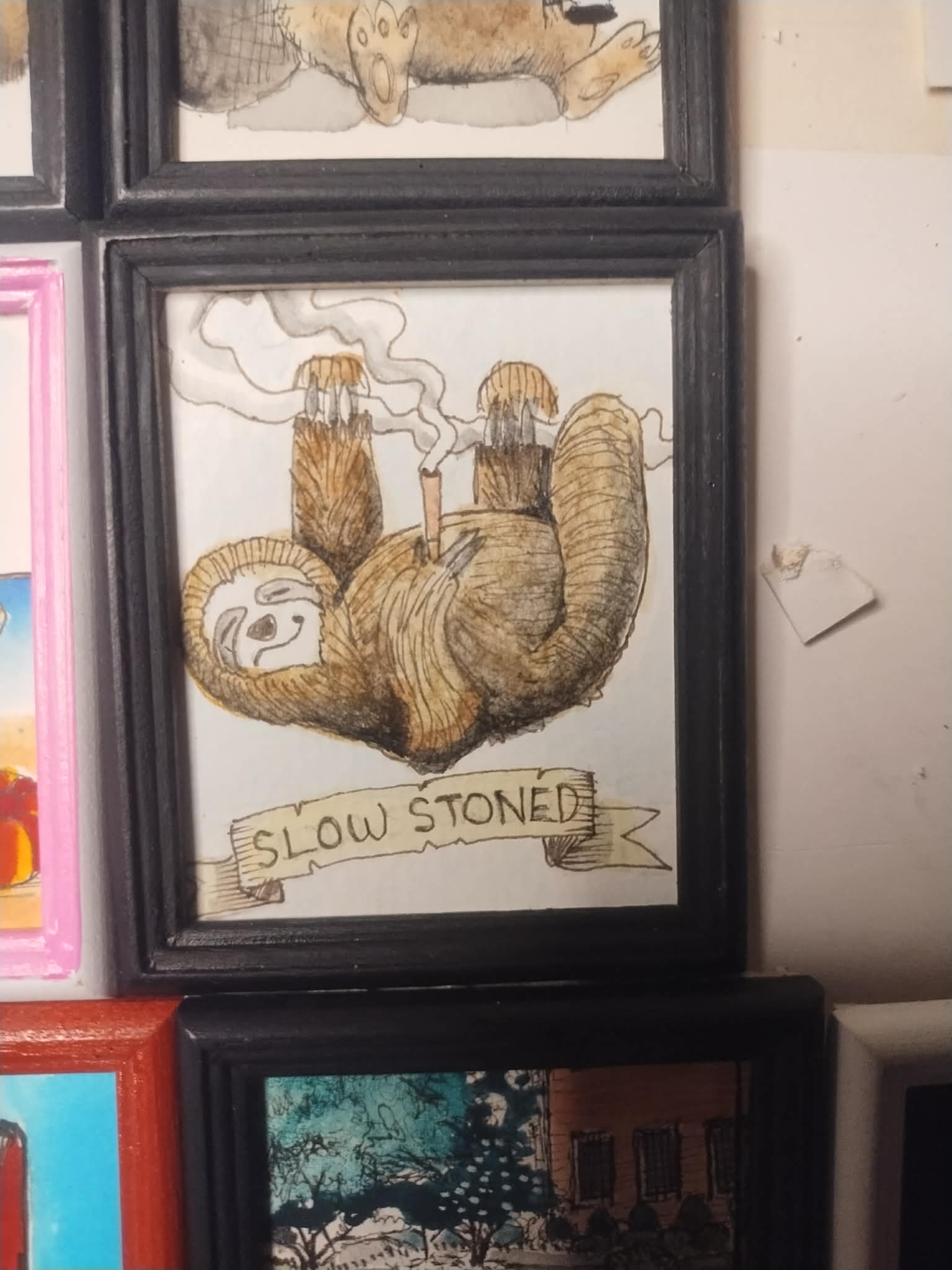 slow stoned sloth
