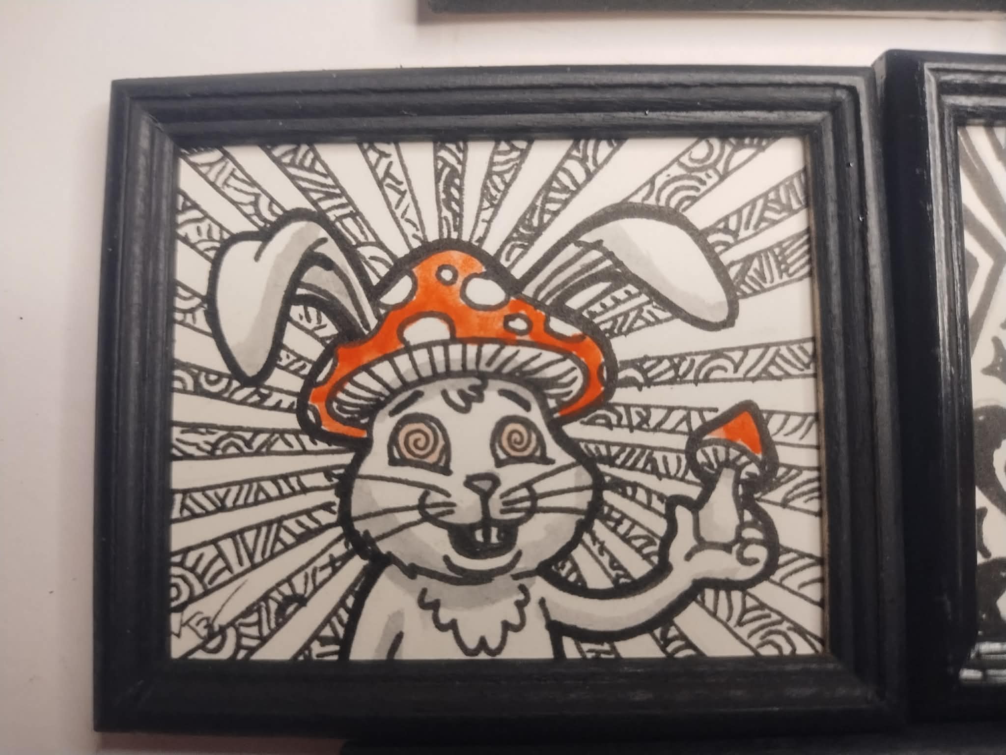tripping rabbit