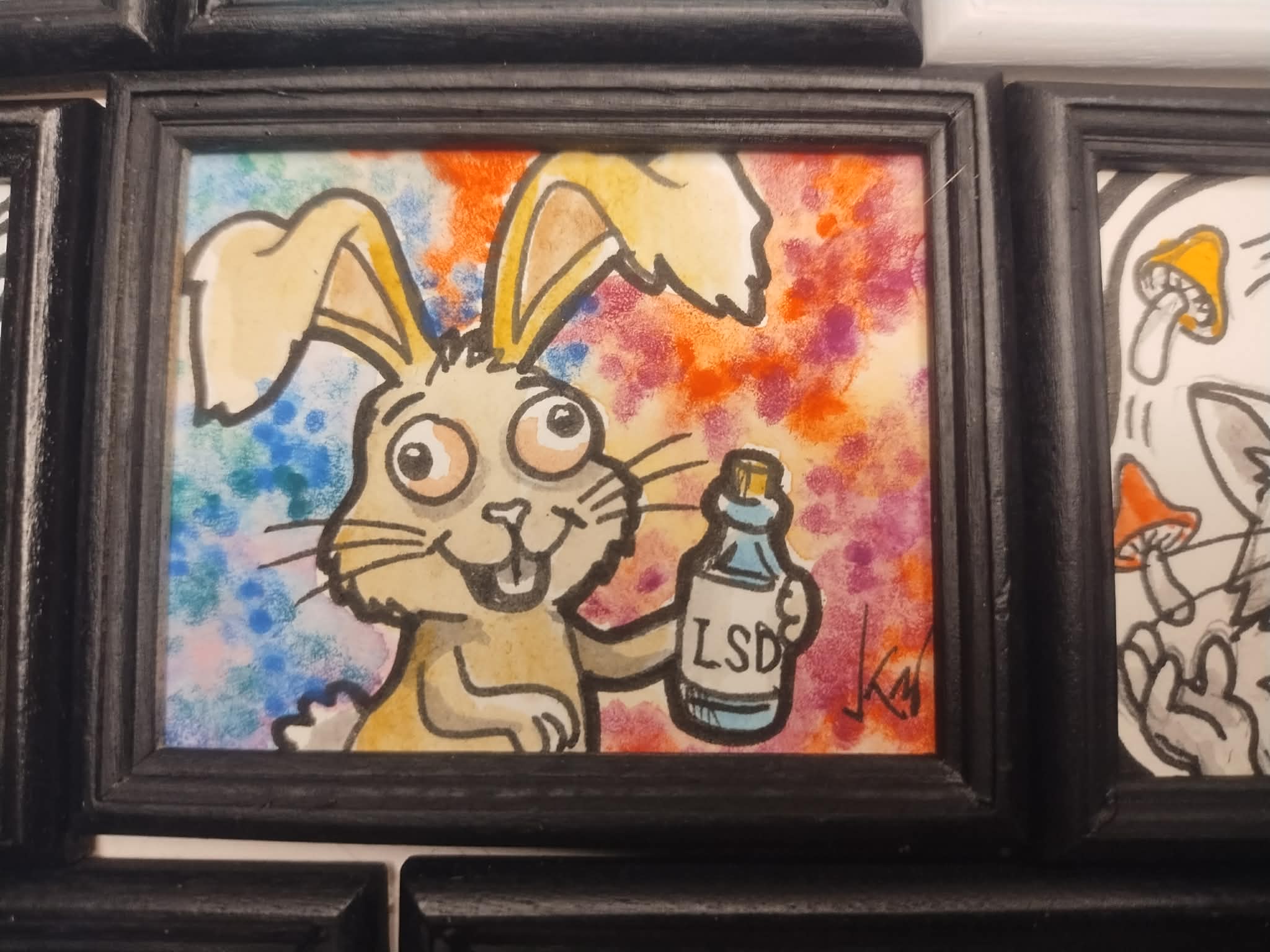 tripping rabbit