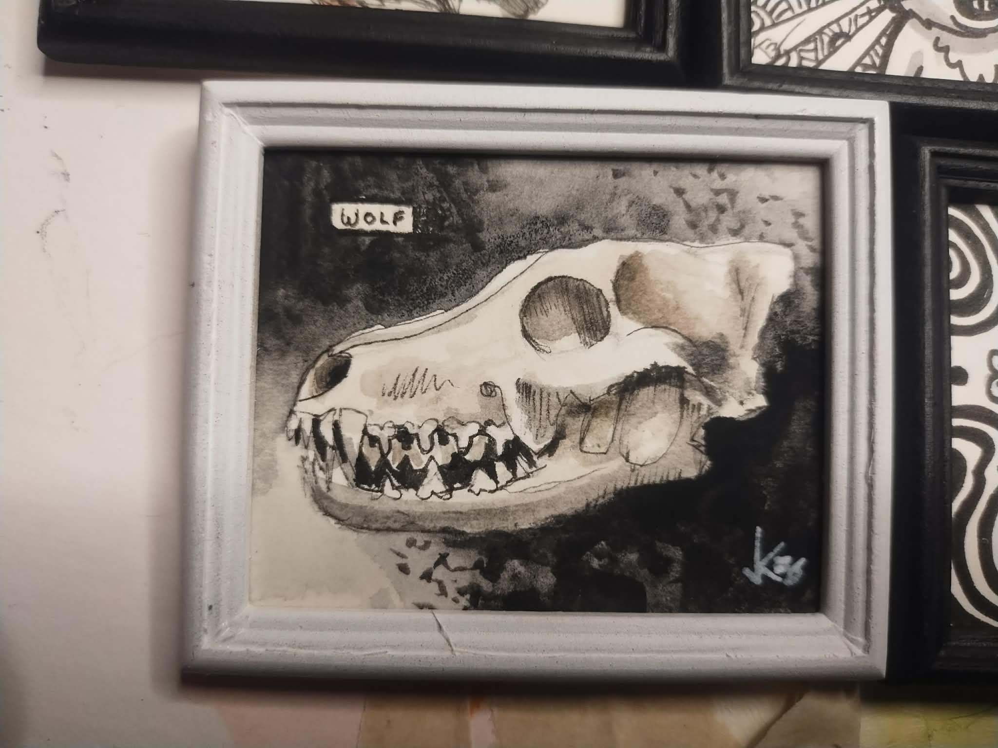 wolf skull