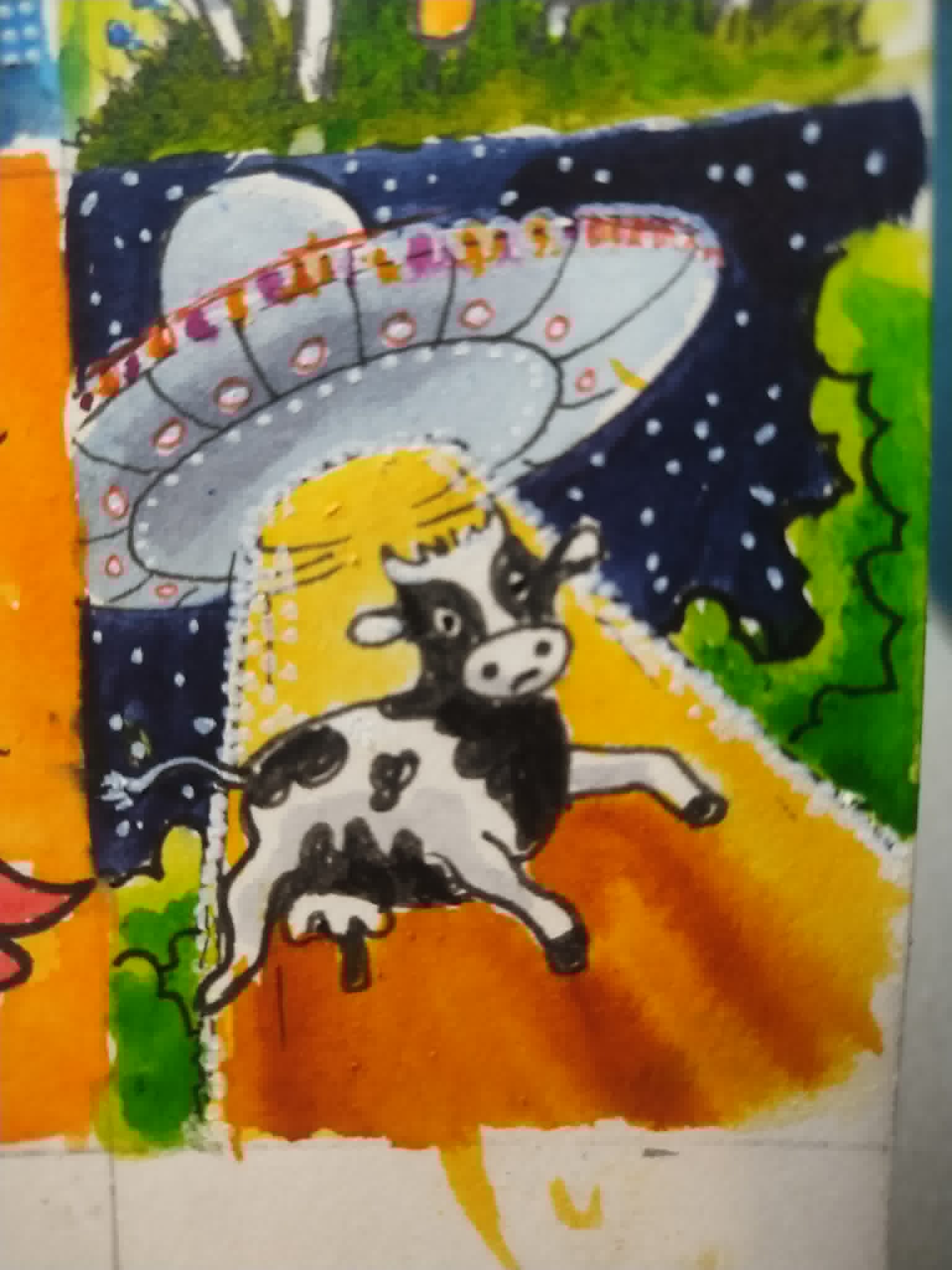 saucer cow